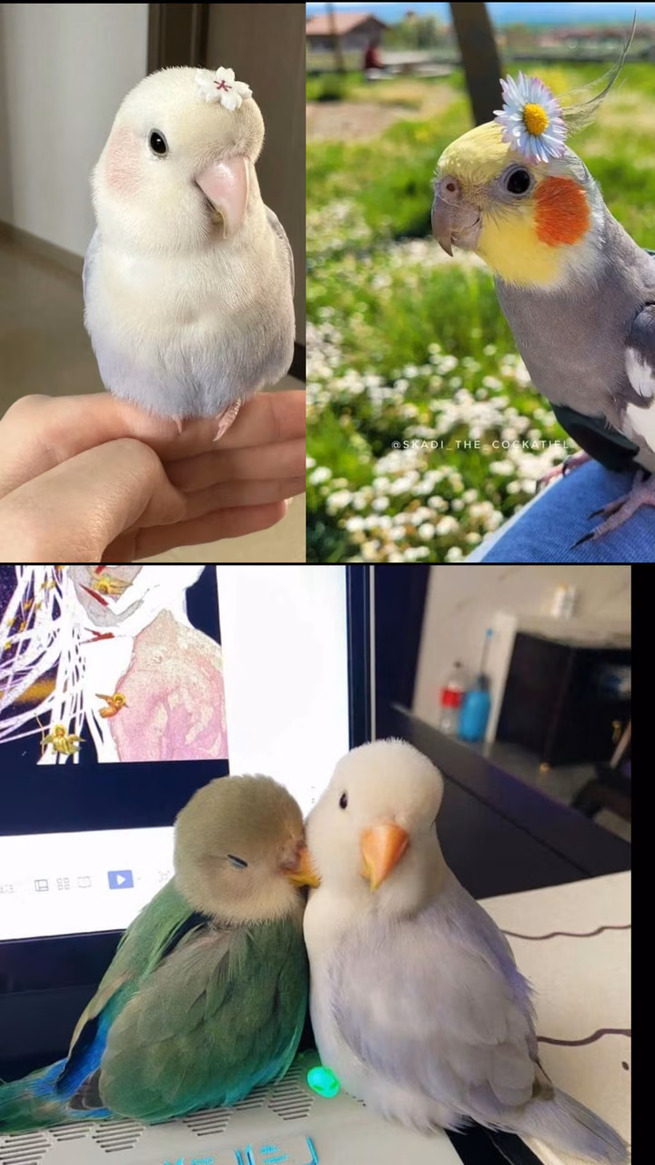 0d79c1b90284bd06a1d63447c56037a5.avif