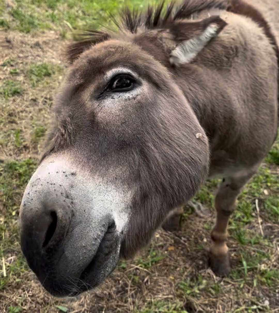 32c39d300c9622da0ea97febb79c895e.avif