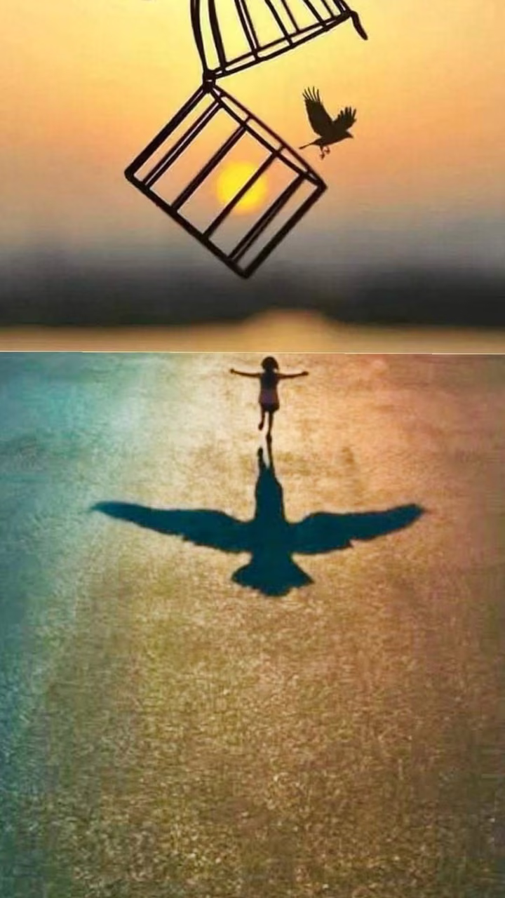 105a2f2c8e725471f6ca1839b9bd7e2b.avif