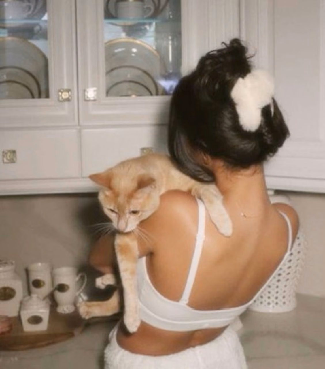 25d4b0028f7af1066095525b1447697d.avif