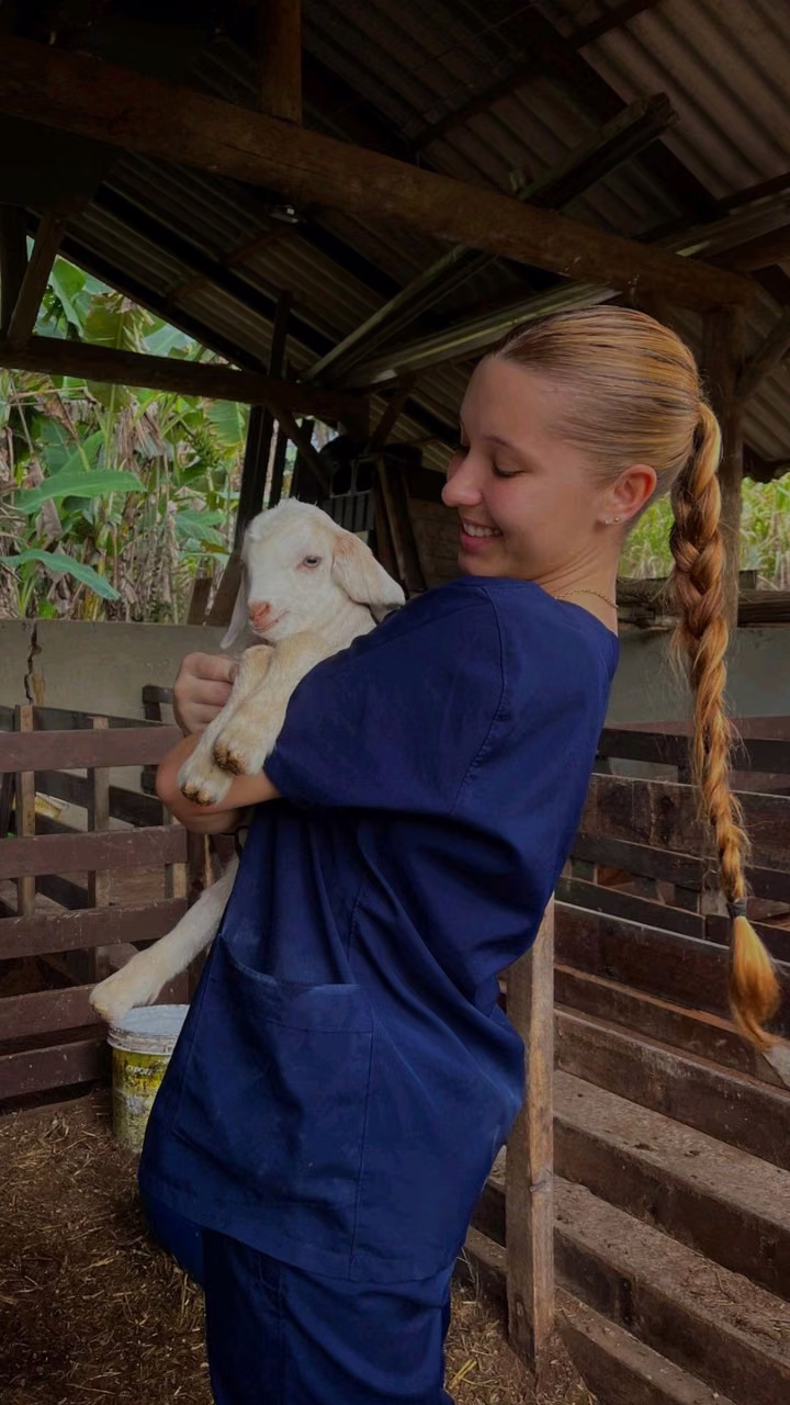 Women veterinarians