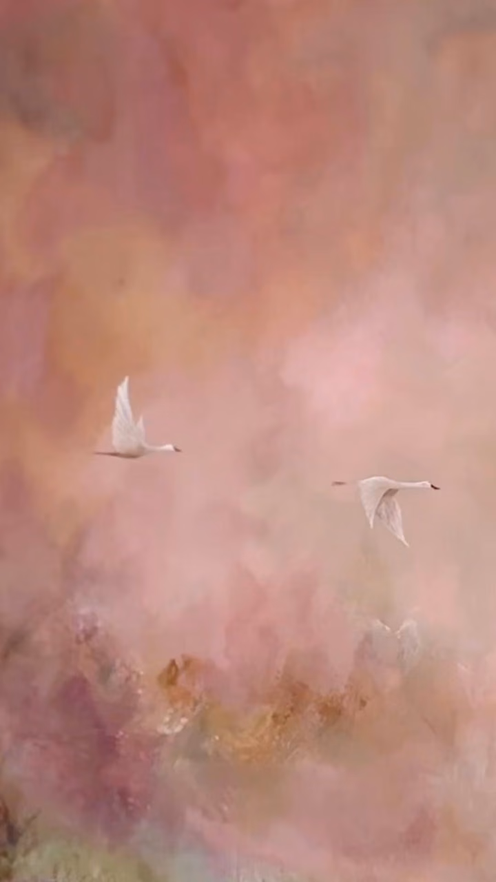 2a7f5b2fb3736418b8a8231b1d01345d.avif