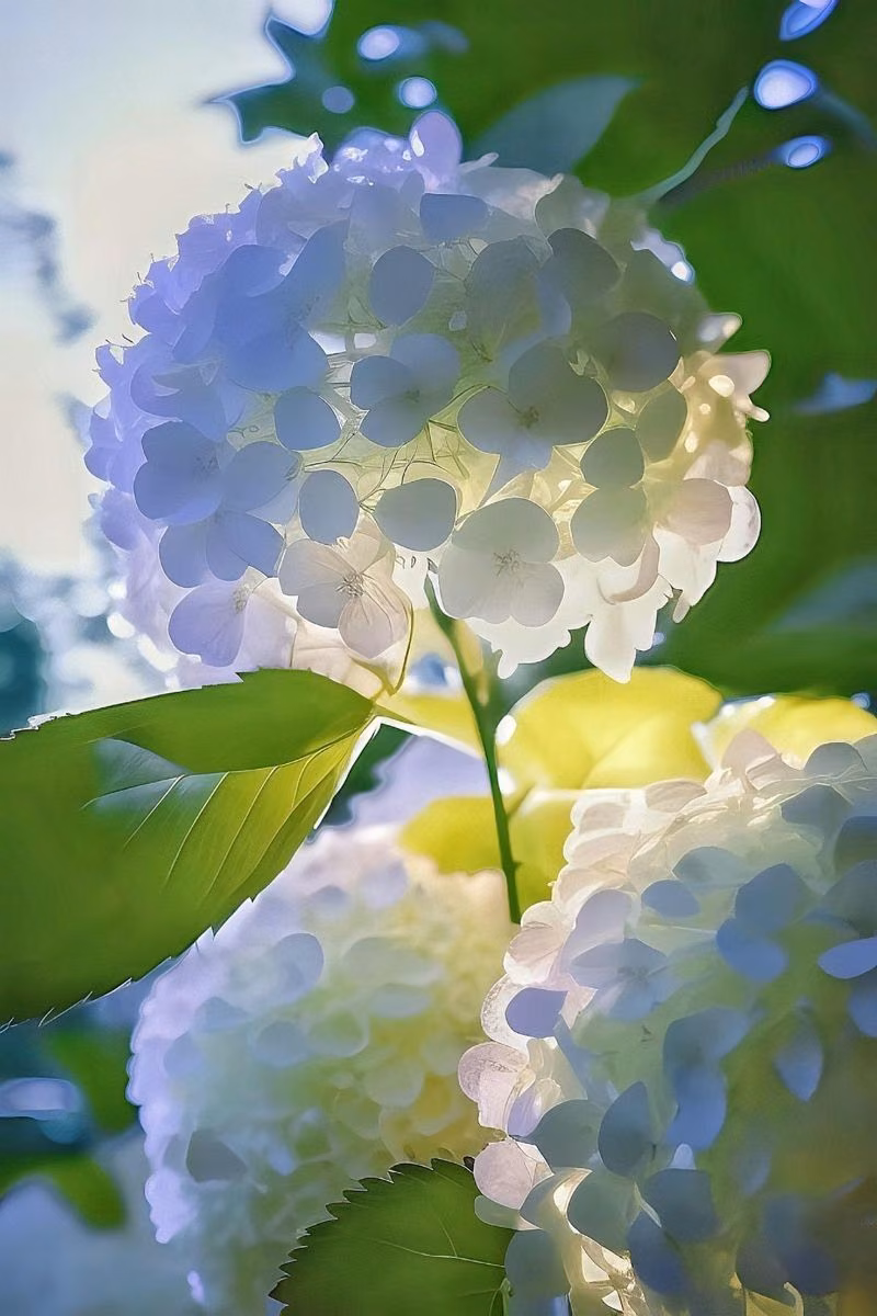 163456e6ed38ae8b775485550b72d56f.avif