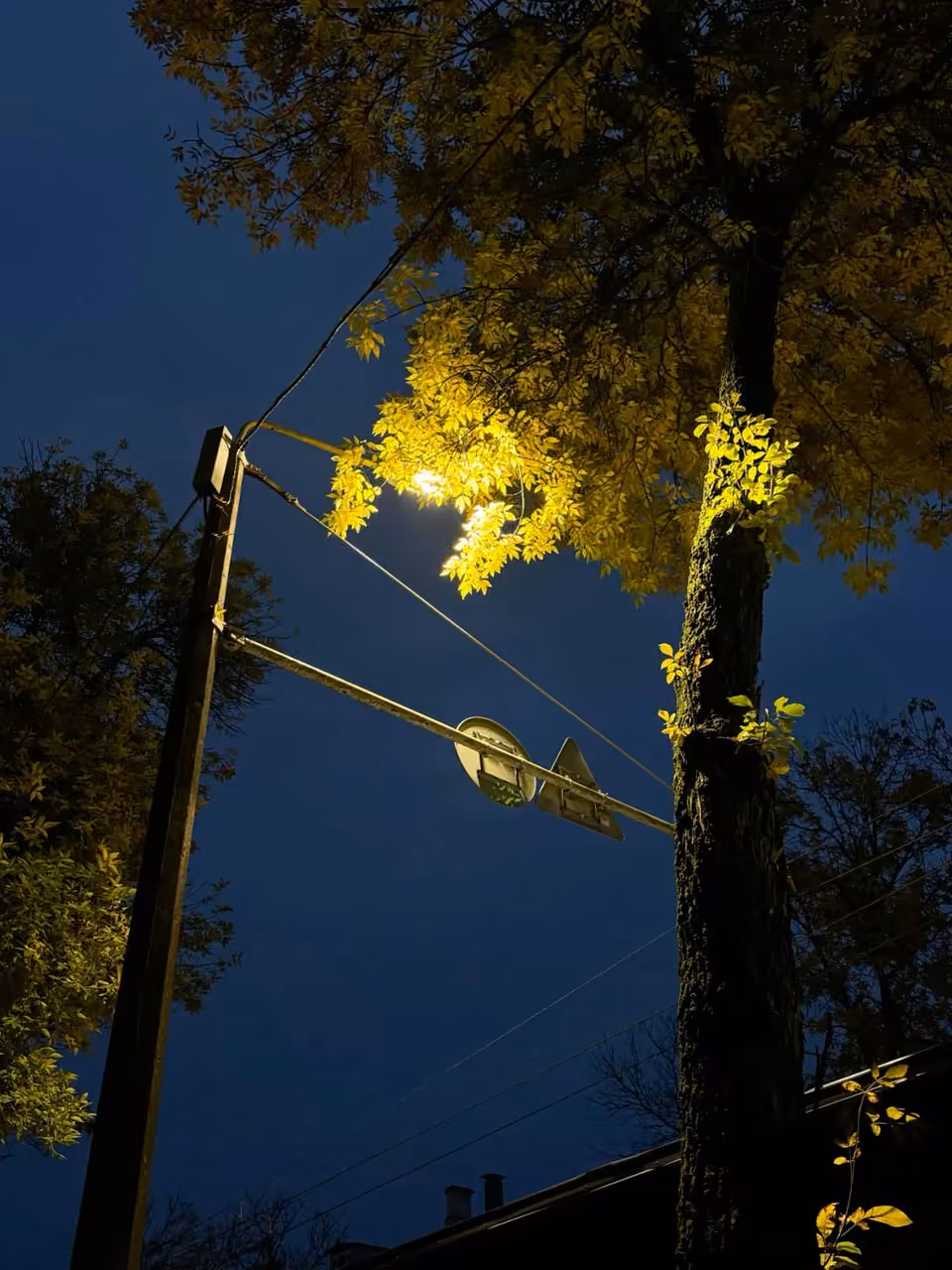 Night street lights