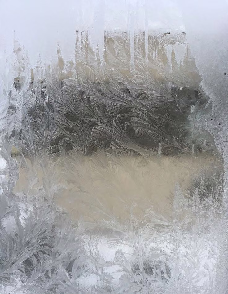 Frosted windows